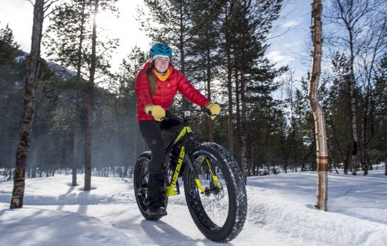 Foto: Frank Rune Isaksen, frikant.no