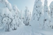 talvipyöräilyretit suomessa