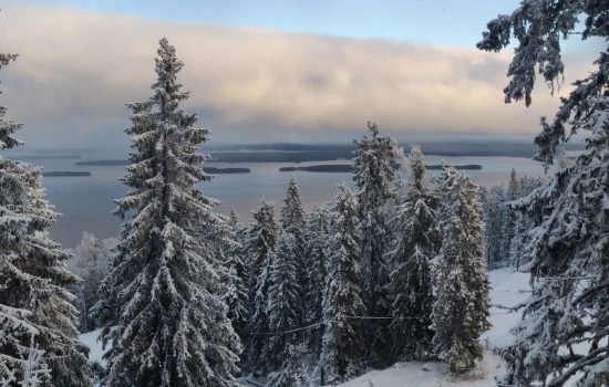 sähköpyörä vuokraus koli