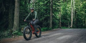 efatbike tunturi emax