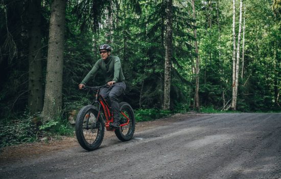 efatbike tunturi emax